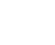 Evolution games at Wolfy Casino